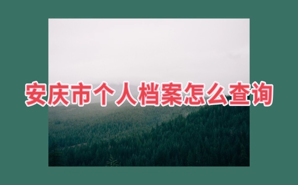 个人档案怎么查询