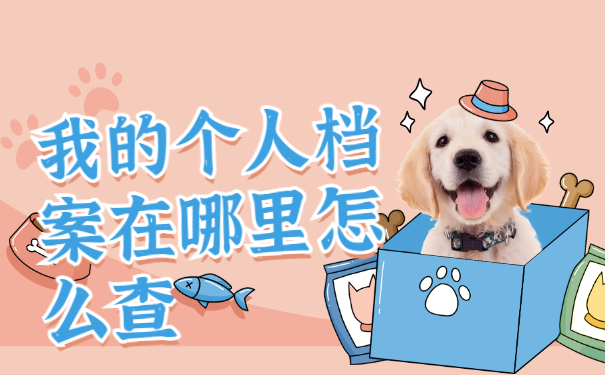 我的个人档案在哪里怎么查