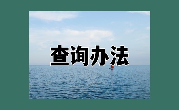 查询办法