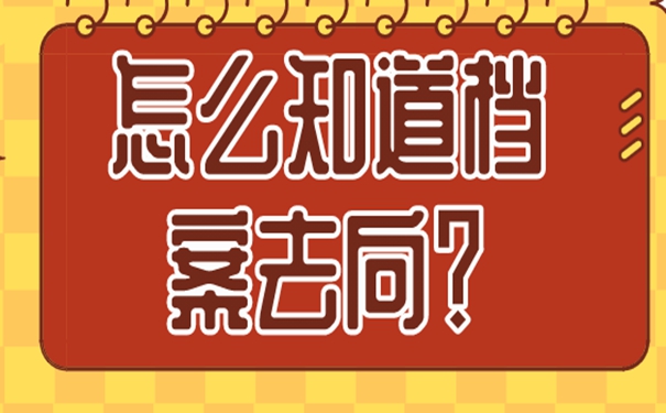 要在哪里查询档案？