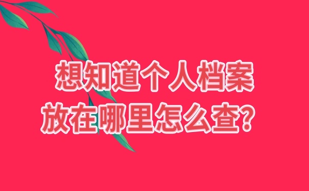 个人档案在哪查询？