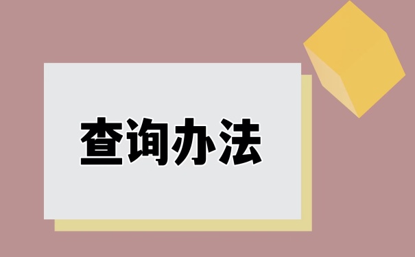 查询办法