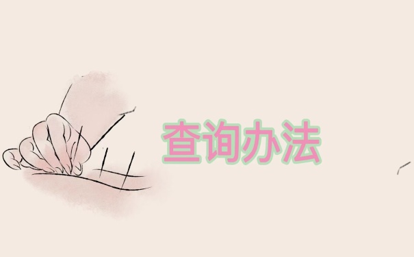 查询办法