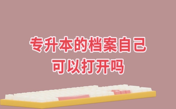 档案可以自己打开吗