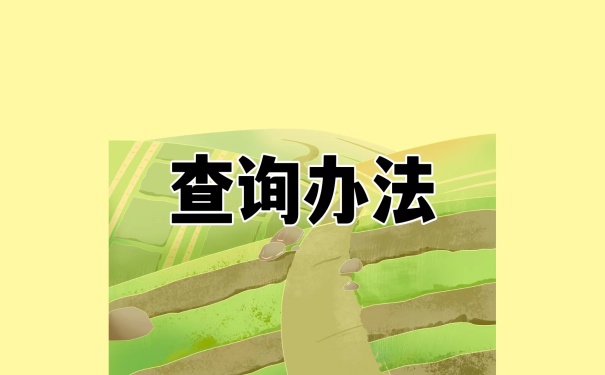 查询办法