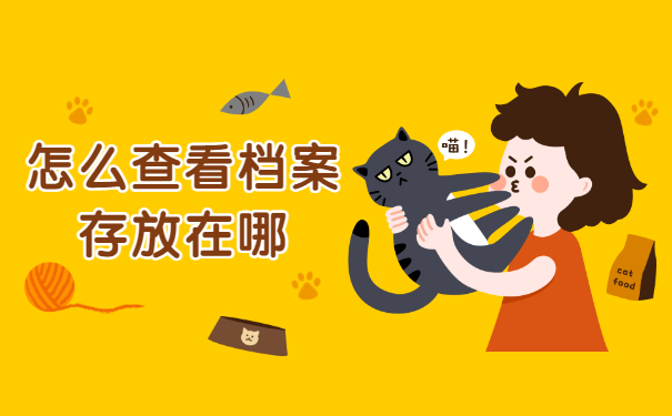 怎么查看档案在哪