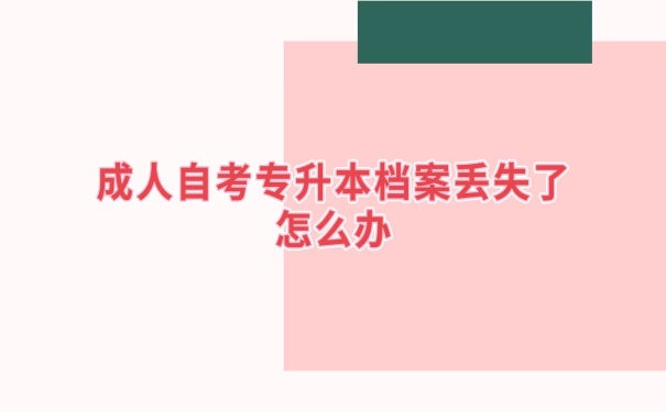 档案丢了怎么办