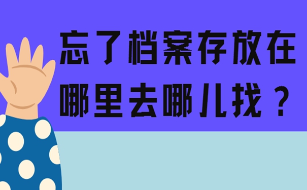 要在哪里查询档案？