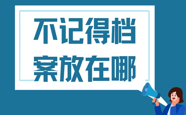 档案查询介绍：