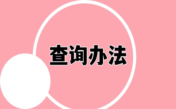 查询办法