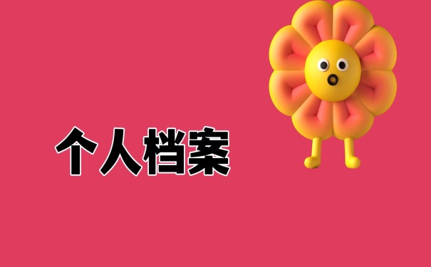 个人档案