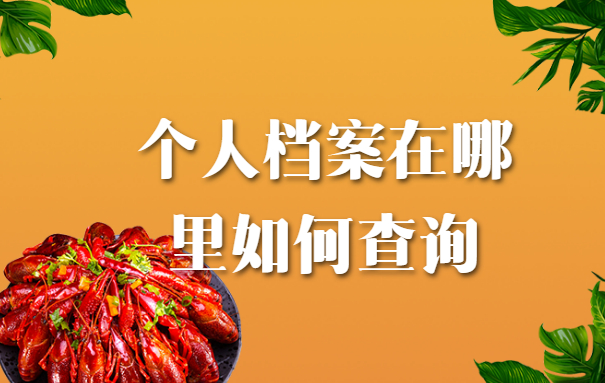 个人档案在哪里如何查询？查询方法了解一下吧！