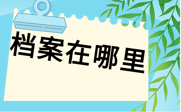 如何知道自己的档案在哪里？最新查询流程分享！