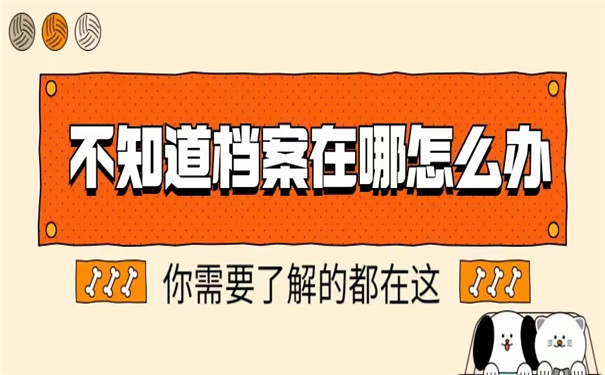 档案查询需要了解什么