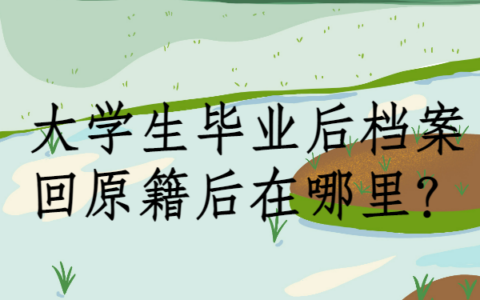 大学生毕业后档案回原籍后在哪里？