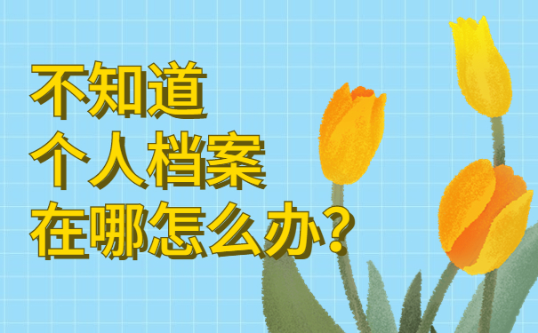 不知道自己个人档案在哪怎么办？