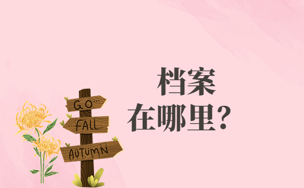 毕业后直接进编制了档案在哪里？最新查询流程请查收！