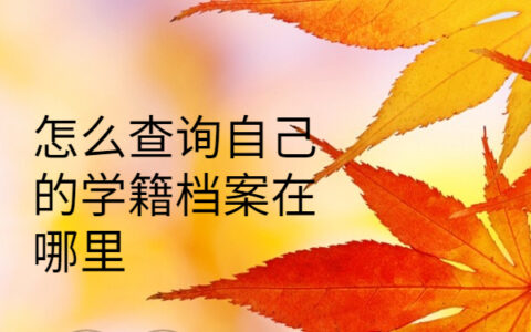怎么查询自己的学籍档案在哪里，注意仅一篇文章就能详细了解！