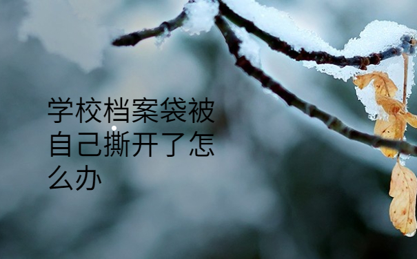 学校档案袋被自己撕开了怎么办？看完你就知道啦！