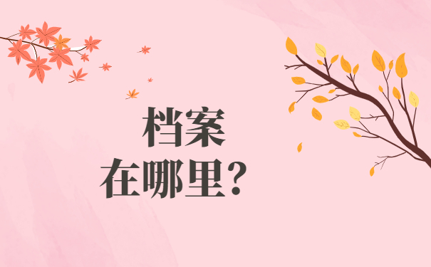 大学生毕业档案去向怎么查？这样就能快速找到个人档案去向！