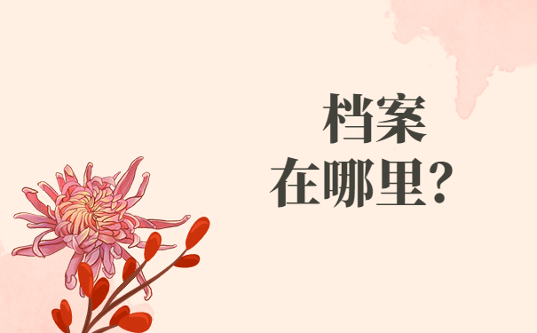 大学生毕业档案在哪里怎么查？这些查询方法你一定要试试！