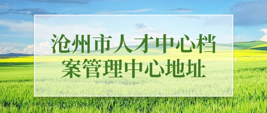 沧州市人才中心档案管理中心地址