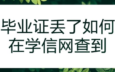 毕业证丢了如何在学信网查到?