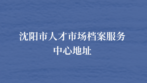 沈阳市人才市场档案服务中心地址