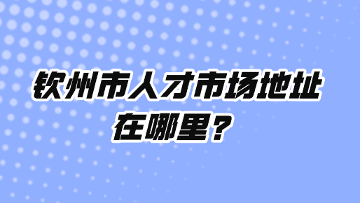 钦州市人才市场地址在哪里？